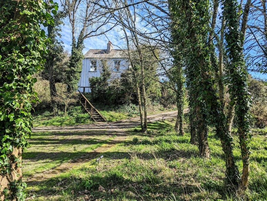 Romantic Secluded Hideaway Cottage In Cornwall Труро Екстер'єр фото